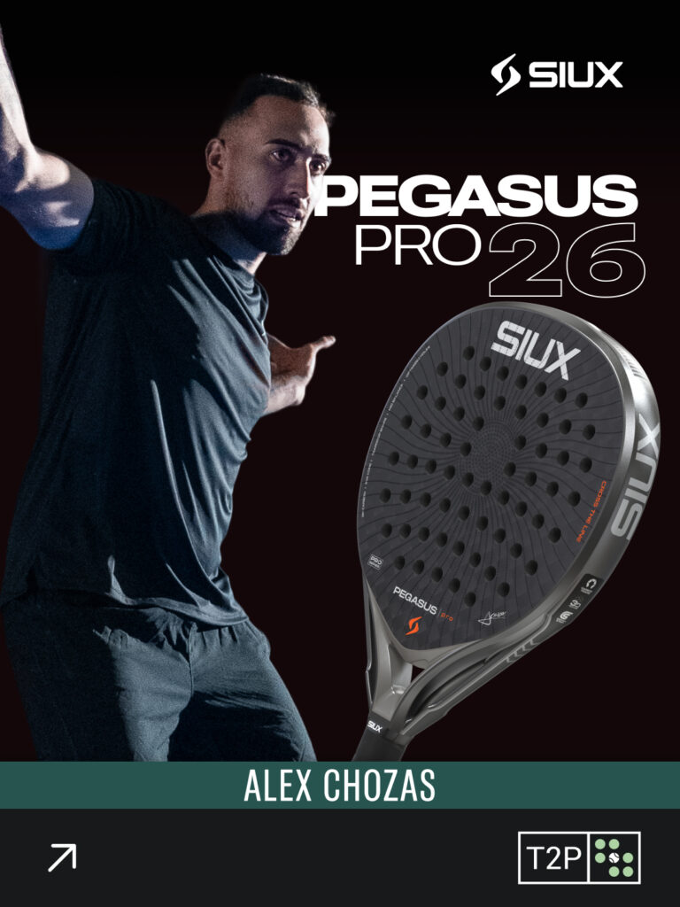 Review Siux Pegasus Pro 2026
