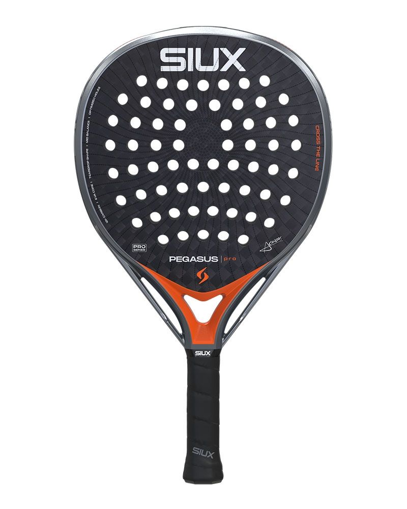 Review Siux Pegasus Pro 2026 2 Review Siux Pegasus Pro 2026 2